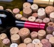 À la découverte des vins de Sancerre : terroirs et traditions uniques