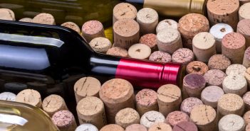 À la découverte des vins de Sancerre : terroirs et traditions uniques