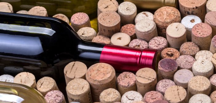 À la découverte des vins de Sancerre : terroirs et traditions uniques