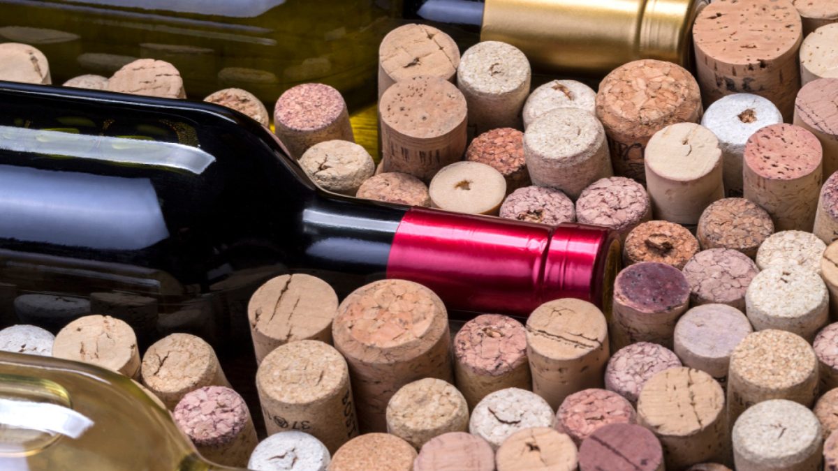 À la découverte des vins de Sancerre : terroirs et traditions uniques