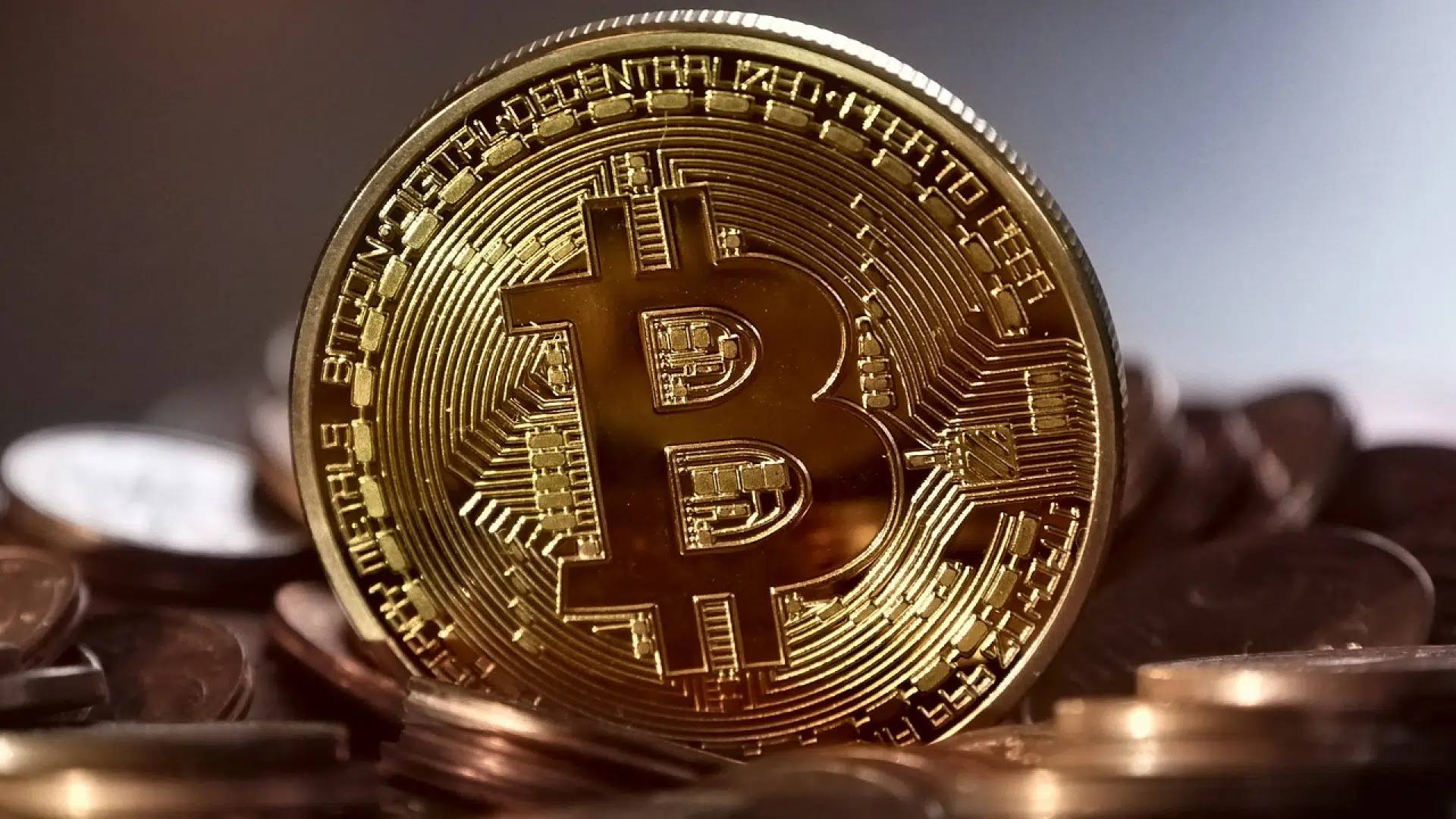 Quelles informations proposent les blogs sur les cryptos ?